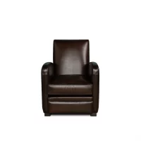 Chocolate Leather club chair Léon in front view